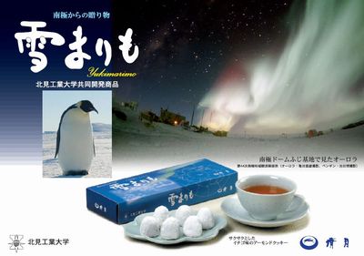 雪まりも