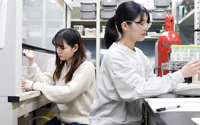 総合型ユニット確定枠女子特別枠