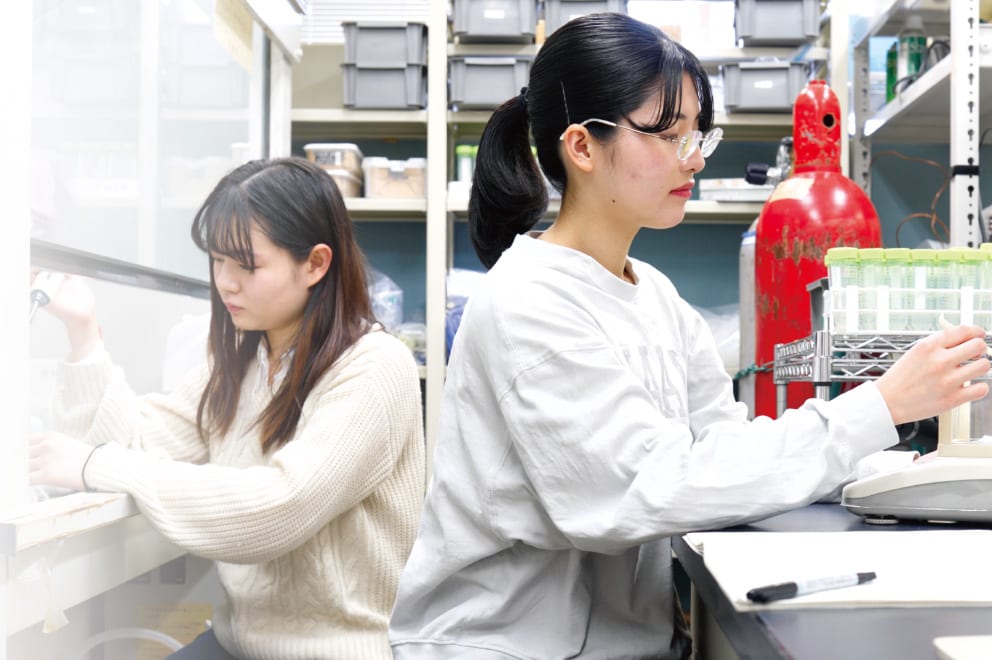 総合型ユニット確定枠女子特別枠