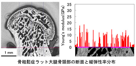 柴野 純一 北見工業大学
