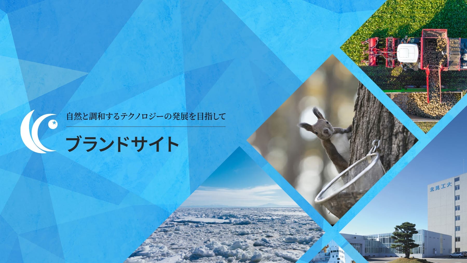 ブランドサイト